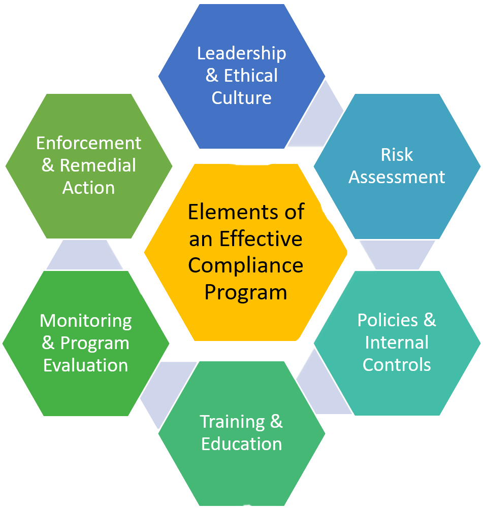 Diagram of elements of an effective compliance programs